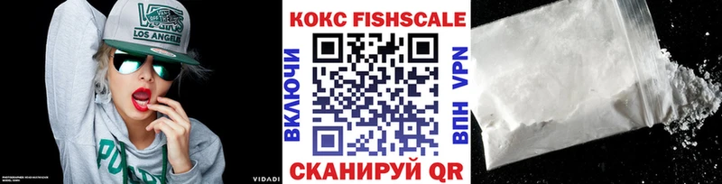 закладки  Сунжа  Кокаин FishScale 