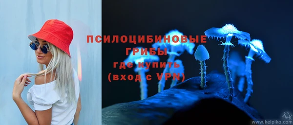 шишки Аркадак