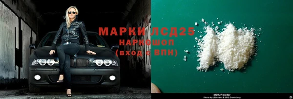 шишки Аркадак
