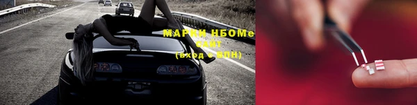 шишки Аркадак