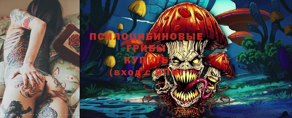 шишки Аркадак