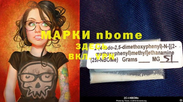 шишки Аркадак