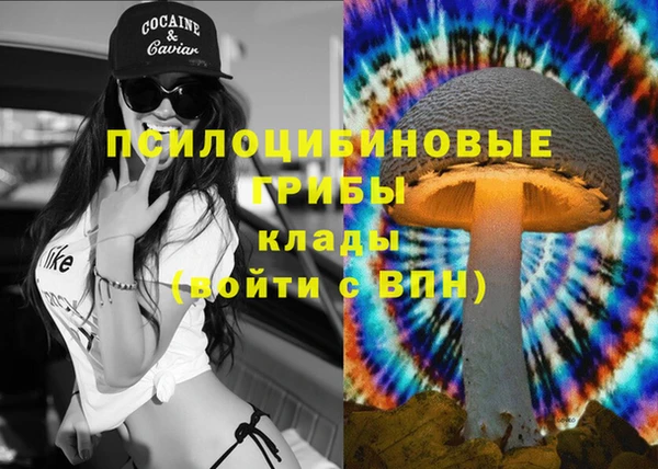 спиды Армянск