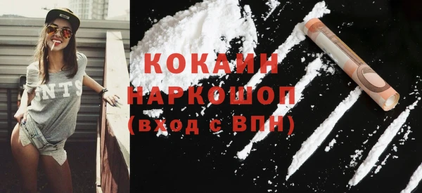 шишки Аркадак