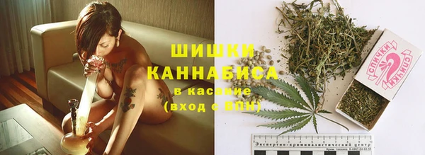 шишки Аркадак