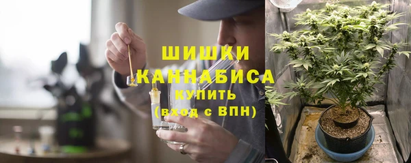 шишки Аркадак
