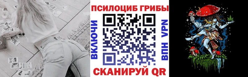 закладки  Сунжа  Псилоцибиновые грибы мухоморы 